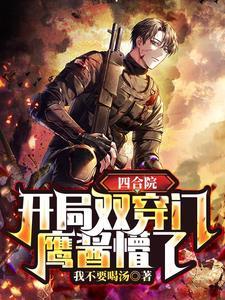 四合院之开局娶了双胞胎师妹