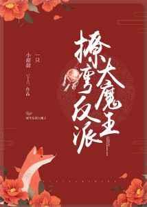 撩弯反派大魔王免费阅读